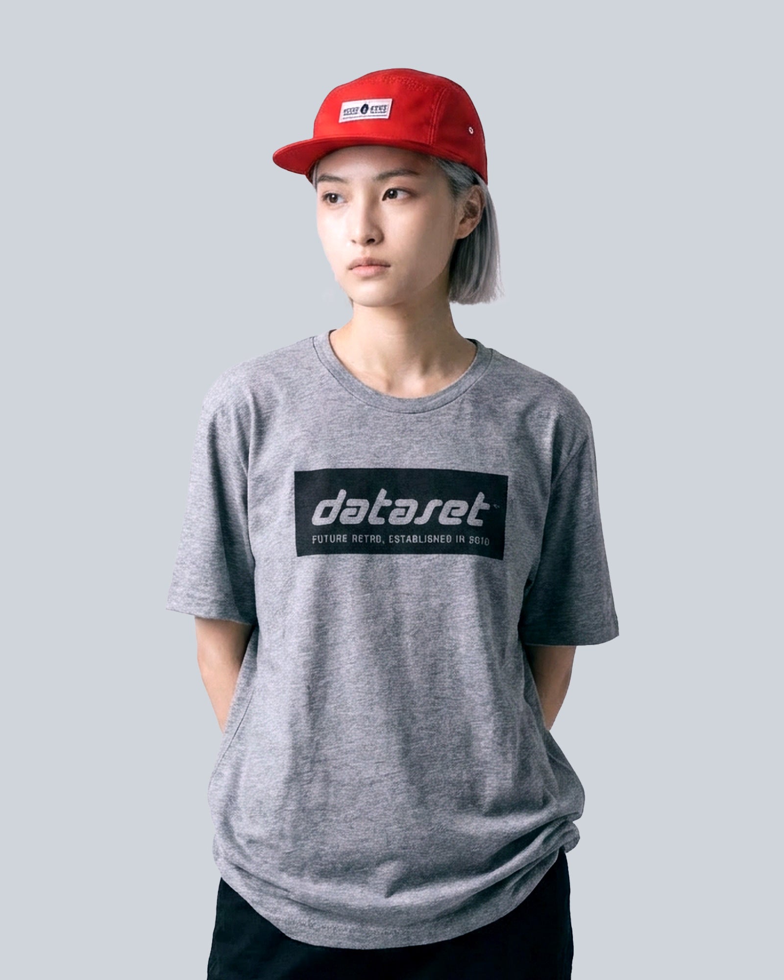 Classic Logo SL | Gray